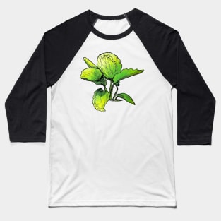 Calathea Baseball T-Shirt